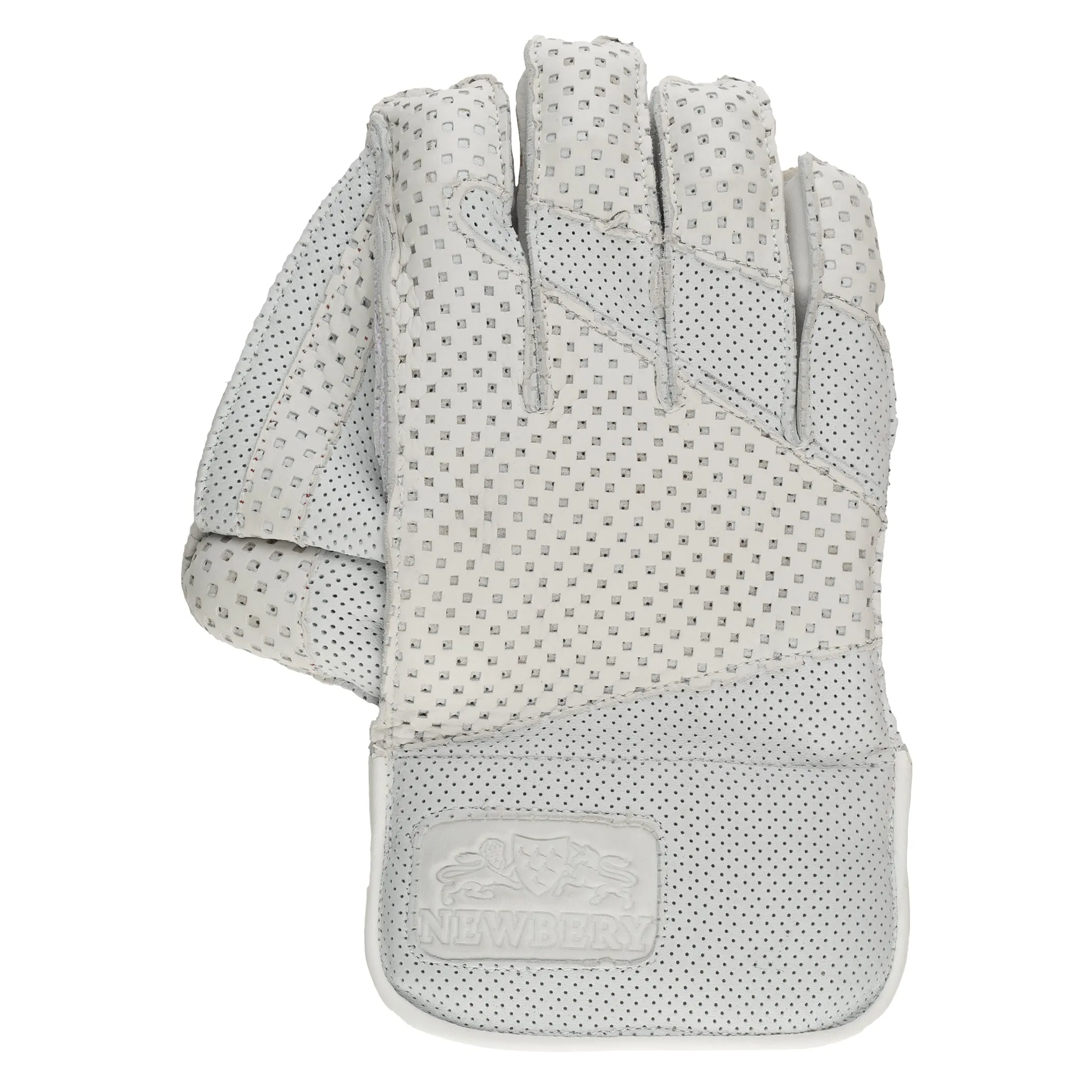 SPS Wicket-Keeping Gloves